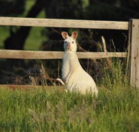 Panorama Garden Estate - Tourism Noosa