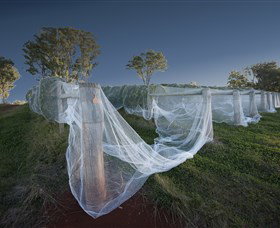 Toppers Mountain Wines - Tourism Noosa 0