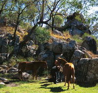 Coomba Falls - Tourism Noosa