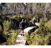 Hume and Hovell Walking Track - Henry Angel Trackhead - Tourism Noosa