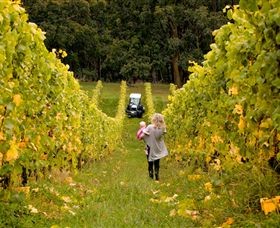 Polperro Winery - Tourism Noosa 7
