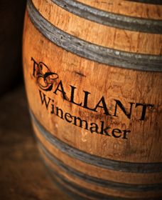 T'Gallant Winemakers - Tourism Noosa 0