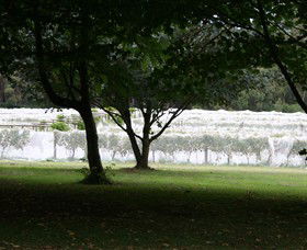 Staindl Wines - Tourism Noosa 0
