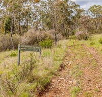 Old Mountain Road Walking Track - Tourism Noosa
