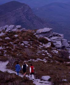 Bluff Knoll, Stirling Range National Park - Tourism Noosa 0