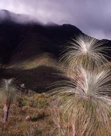 Bluff Knoll, Stirling Range National Park - Tourism Noosa 3