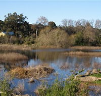 Coolart Wetlands and Homestead - Tourism Noosa