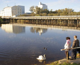 Avon River - Tourism Noosa 1