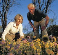 Canna Reserve - Tourism Noosa