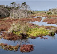 French Island National Park - Tourism Noosa
