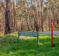 Lobs Hole Ravine 4WD Trail - Tourism Noosa