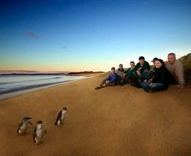 Phillip Island Nature Parks - Tourism Noosa 7