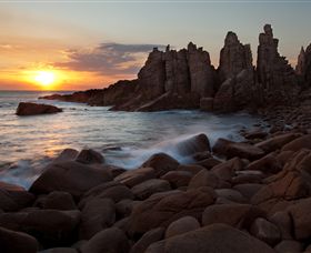 Phillip Island Nature Parks - Tourism Noosa 6