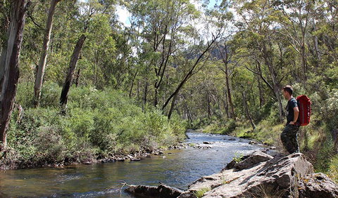 Yarrangobilly Caves - Tourism Noosa 1