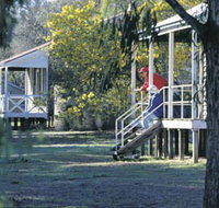 Dryandra Woodland - Tourism Noosa