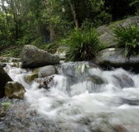 Washpool National Park - Tourism Noosa