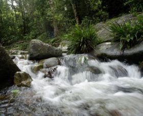 Washpool National Park - Tourism Noosa 0