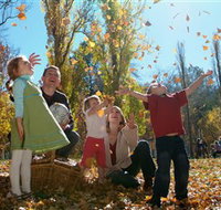 Cotter Avenue recreation area - Tourism Noosa