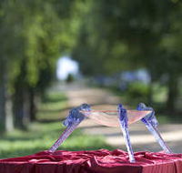 Lillico Glass Studio - Tourism Noosa