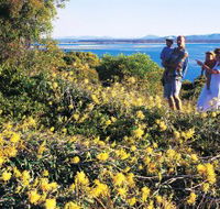 Joseph Banks Conservation Park - Tourism Noosa