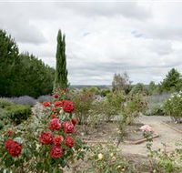 Crystal Brook Lavender Farm - Tourism Noosa
