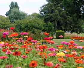 Alma Park - Tourism Noosa 0