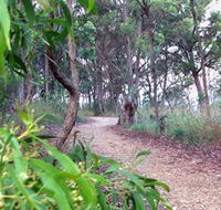 Mount Mutton Walking Trail - Tourism Noosa