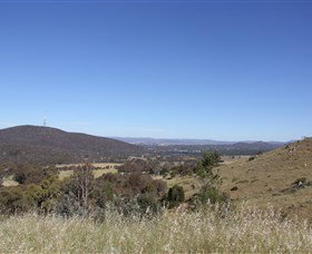 Meribah ACT Tourism Noosa