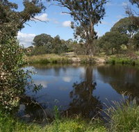Cooleman Ridge - Tourism Noosa