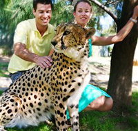 National Zoo  Aquarium - Tourism Noosa