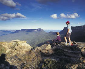 All Sydney Touring - Tourism Noosa 1