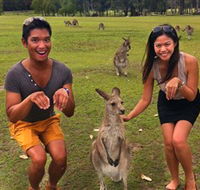 Runaway Tours - Tourism Noosa