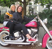 Wild Ride Harley and Motorcycle Tours - Tourism Noosa