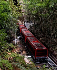 Andersons Tours - Tourism Noosa 1