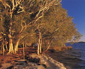 East Coast Adventure Bus - Tourism Noosa 2