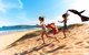 Flamin Galah Sydney Tours And Airport Transfers - thumb 0