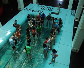 I'm Free Tours - Tourism Noosa 1