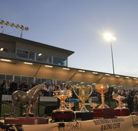 Bathurst Harness Racing Club - Tourism Noosa