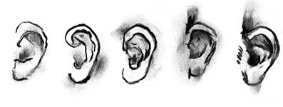 DAB LAB Research Gallery - Tourism Noosa 0