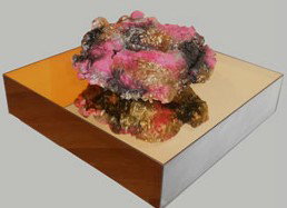 Artereal - Tourism Noosa 1