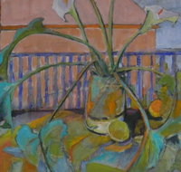 Gallery41 - Tourism Noosa