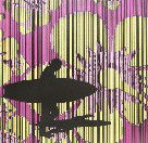 Iain Dawson Gallery - Tourism Noosa 2