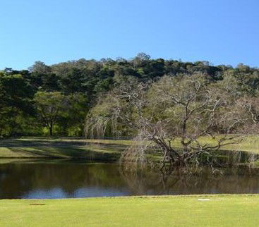 Antill Park Country Golf Club - Tourism Noosa 1