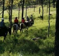 Hunter Valley Horse Riding and Adventures - Tourism Noosa
