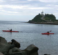 Newcastle Kayak Tours - Tourism Noosa