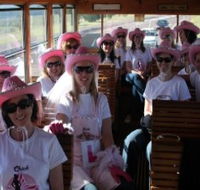 Newcastles Famous Tram - Tourism Noosa