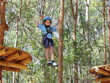 TreeTops Newcastle - Tourism Noosa 0
