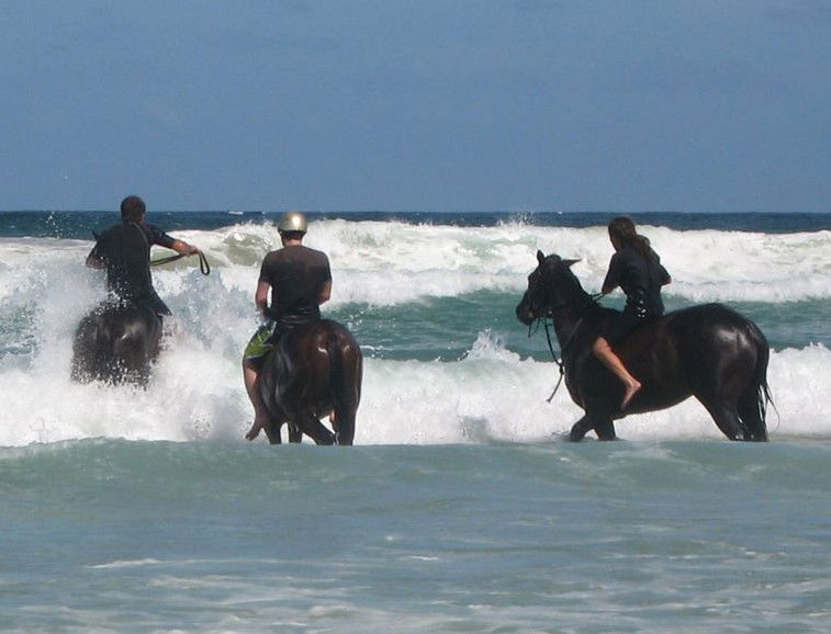 Brooklet NSW Tourism Noosa