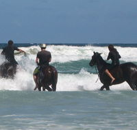 Pegasus Park Equestrian Centre - Tourism Noosa