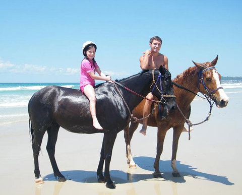 Pegasus Park Equestrian Centre - Tourism Noosa 1